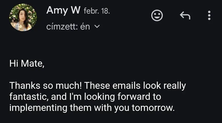 Message from Amy W saying the emails look fantastic